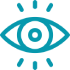 vision icon